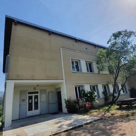 Collective Cozy&family