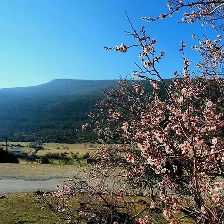 Collective Cozy&family * La Palud-sur-Verdon