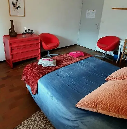 Collective Cozy&family *