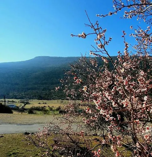 Collective Cozy&family * La Palud-sur-Verdon