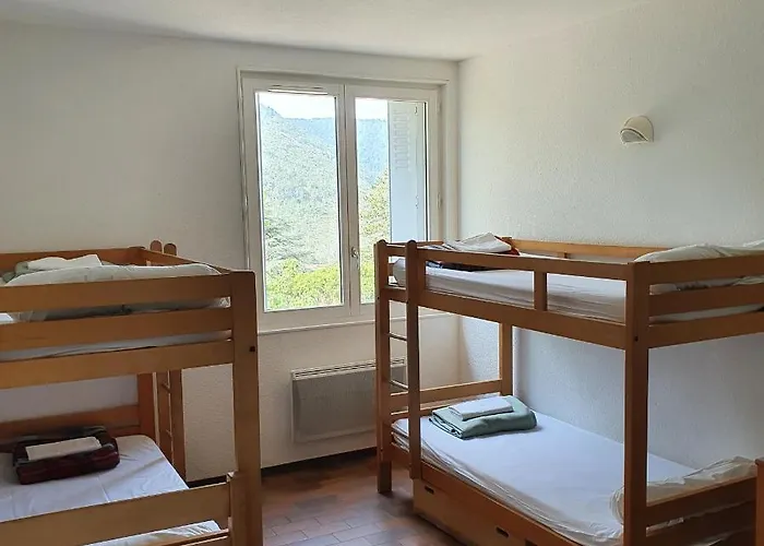 Collective Cozy&family *